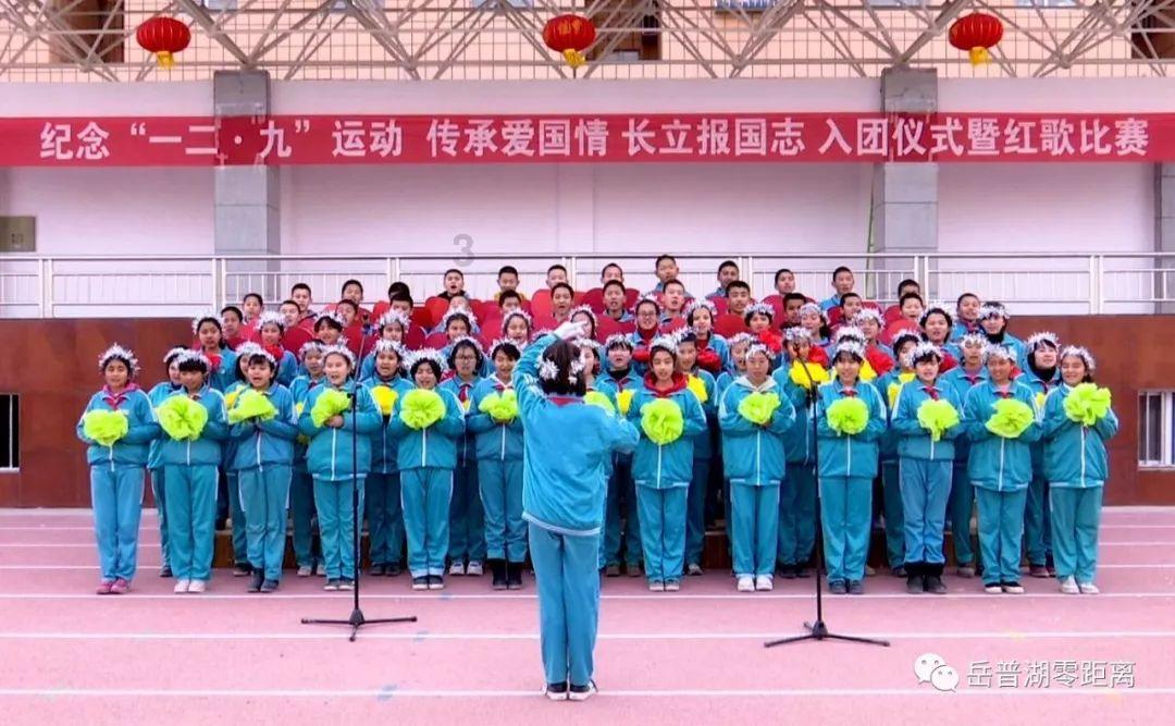 家用粉碎机电机怎么接线?-问答平台,解答您的疑问